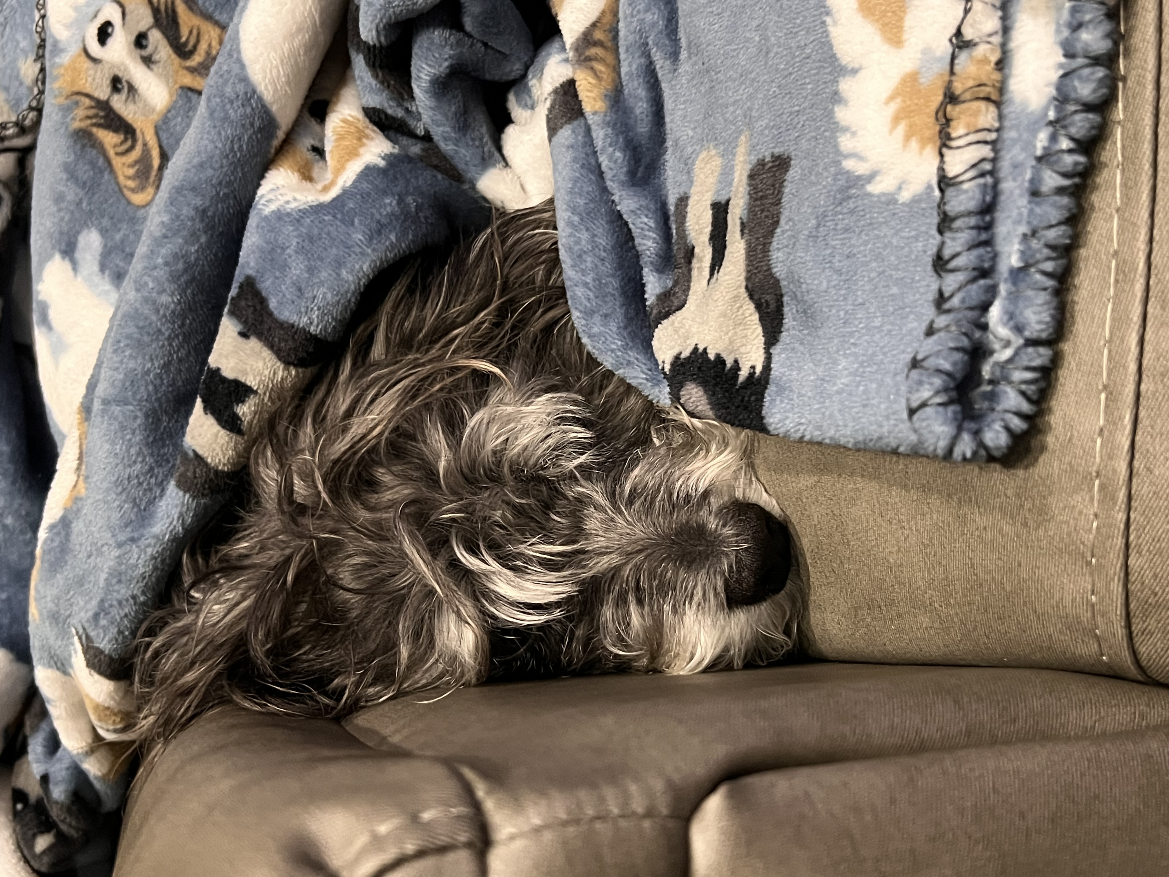 ./2023/01 - New Bern/IMG_6177.JPG